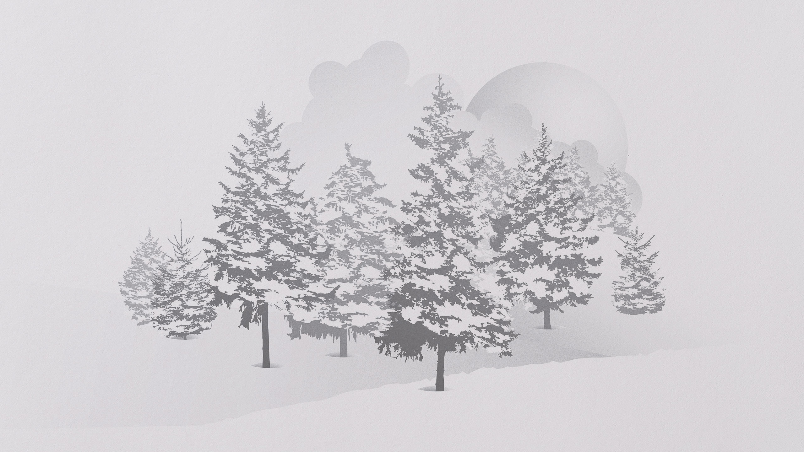 Winter Forest Toyota Illustration by The Coopers