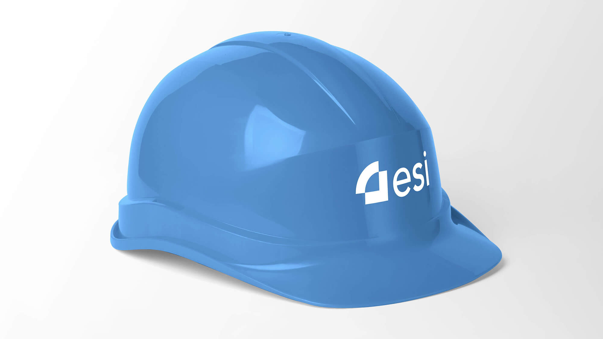 ESI Group logo design by The Coopers