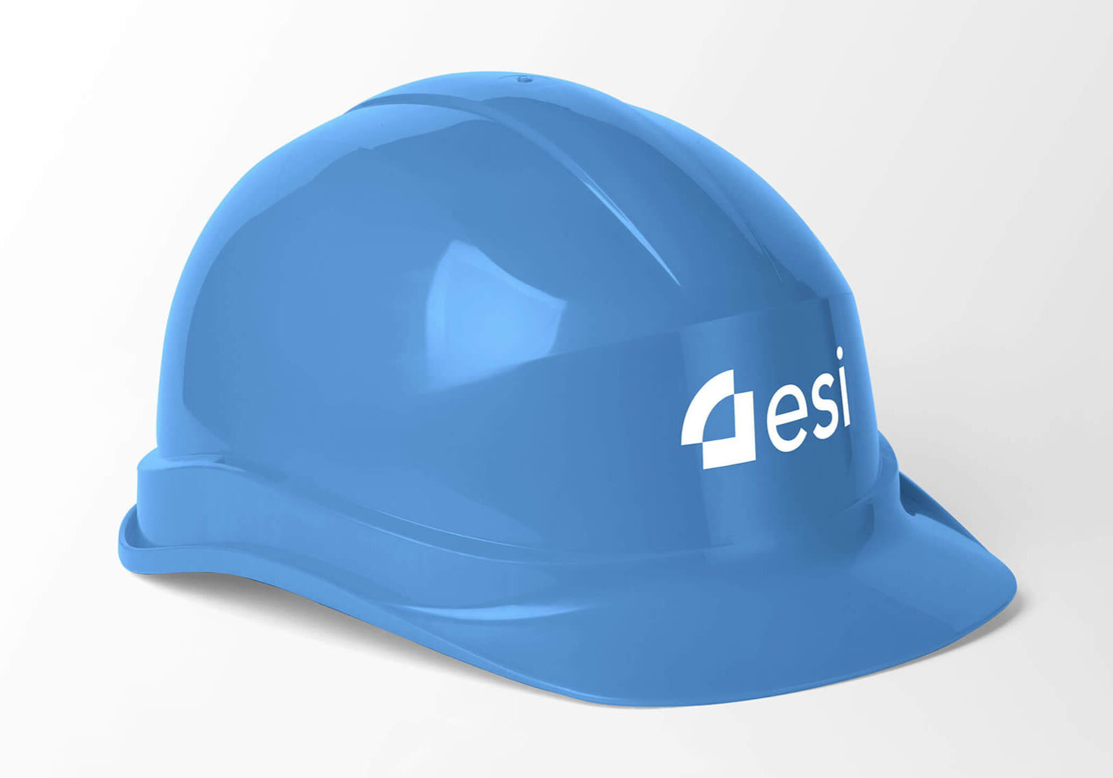 ESI Group logo design by The Coopers